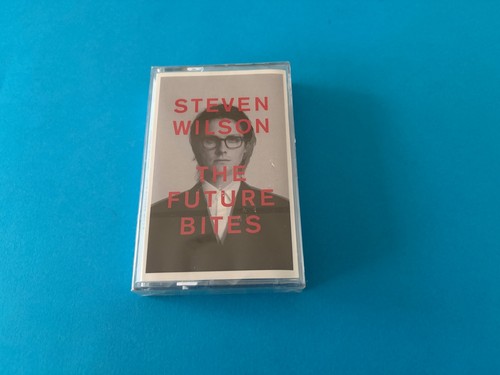 Steven wilson the future - steven,