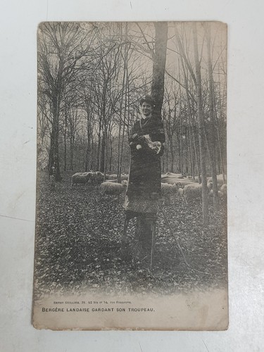 Cpa bergere landaise - bergere,