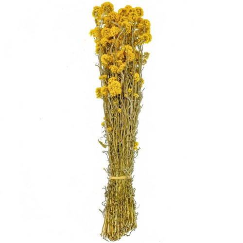 Bouquet fleurs séchées