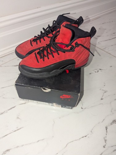 Nike air jordan xii - nike, retro