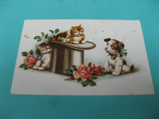 CPA   chats chien chapeau