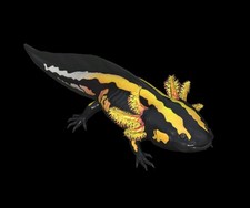 Fallout 76 - PC - Striped