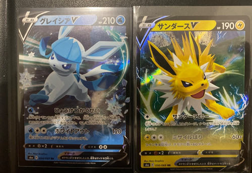 Duo carte pokemon voltali - pokemon, v