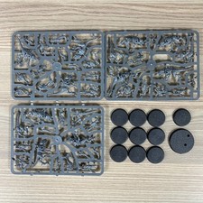 Termagants Couvée Et Essaim