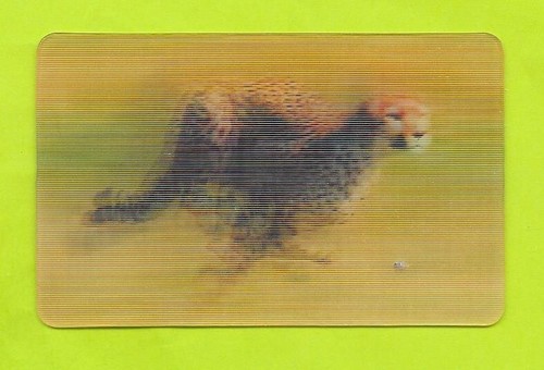 Carte cora match n 33 - carte, n°33/44