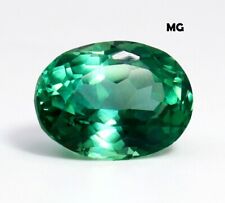 Naturel Paraiba Tourmaline 16.75 CT sans Défaut Coupe Ovale Certifié Ample Gemme