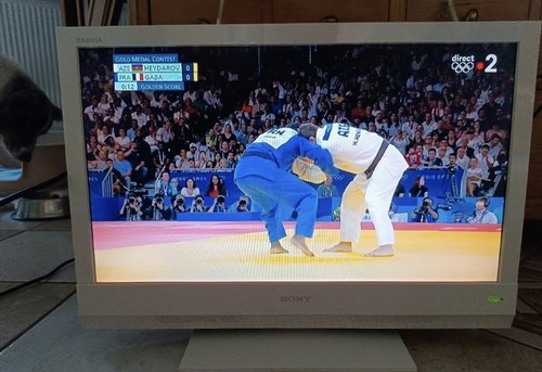 Télévision sony kdl 22bx200 - sony, kdl-22bx200
