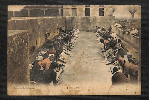 Chaumont poules d eau - 52, d'eau