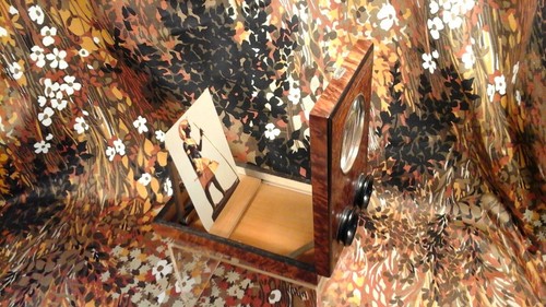 Burr walnut veneer - walnut,