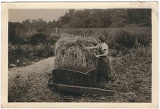 16/689 Photo Travail dans La Agriculture Brouette en Bois - Tampon Bautzen
