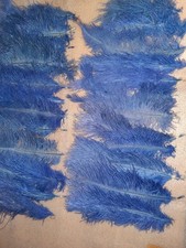 LOT  41 ANCIENNES PLUMES D'