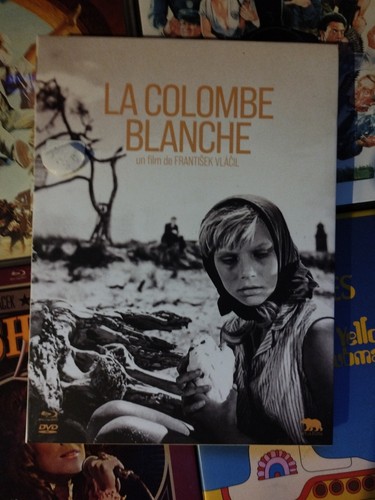 Colombe blanche combo - la,