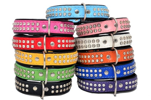 Cuir chien chiot - chien,