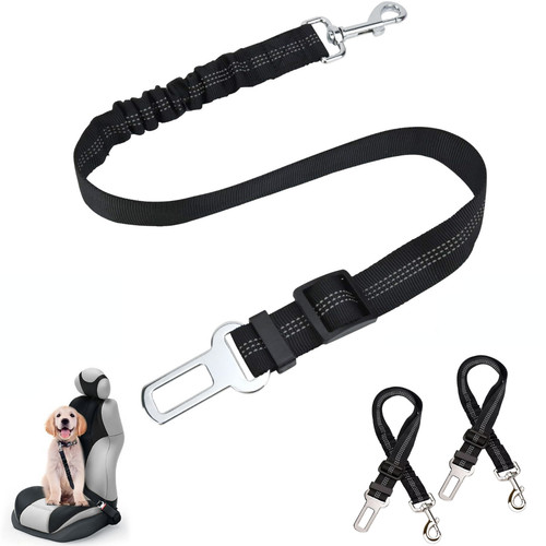 Chien compagnie réglable - chien, de