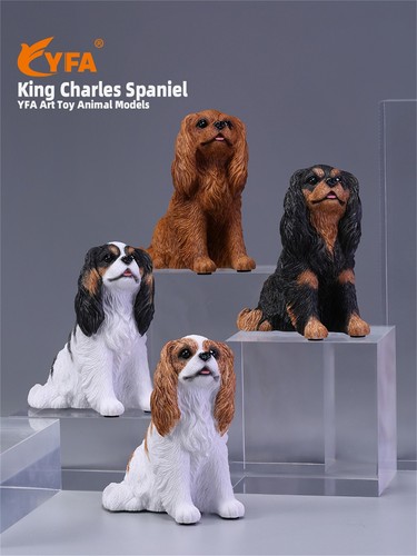 Jjm cavalier king charles - 1/6,