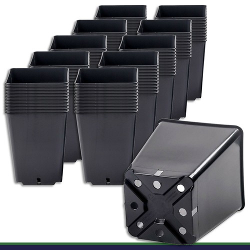 100 pot fleur - 100, l
