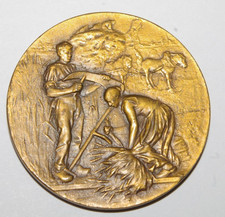 médaille COMICE AGRICOLE DE