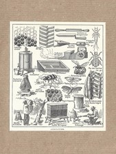 Lithographie Ancienne