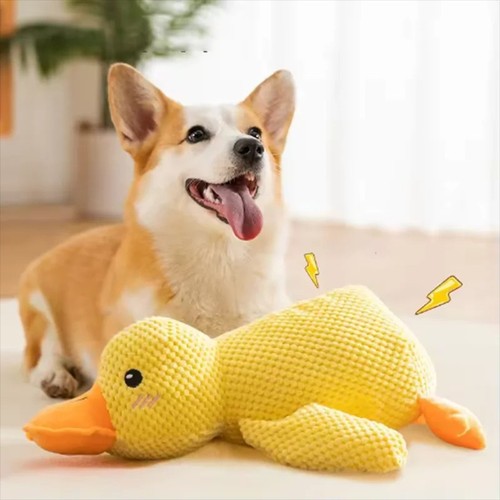Jouet peluche pour chien - en,