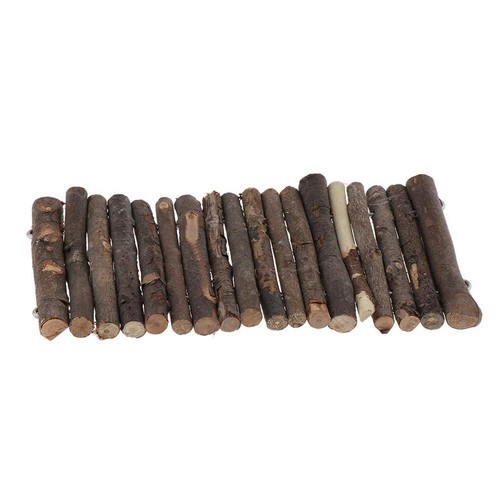Reptile plate forme - reptile, plate-forme