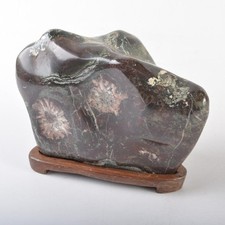 Suiseki Viewing Stone Chrysanthemum Bonseki Bonsai Japanese Garden Daiza 7.3 in