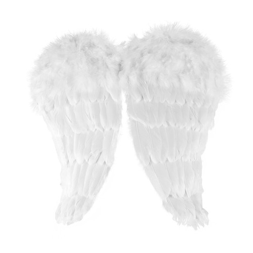 Ailes ange avec plumes cm - d'ange,