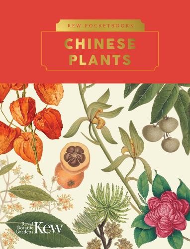 Alex summers kew pocketbooks - summers,