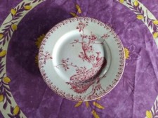 Biscuitier sur Pied Terre Fer