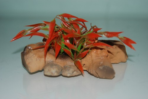 Vivarium détaillée driftwood - détaillée,