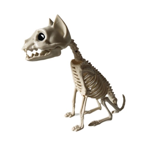 Chat squelette articulé - , pour