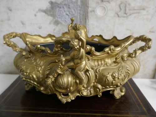 Belle jardinière laiton doré - belle,
