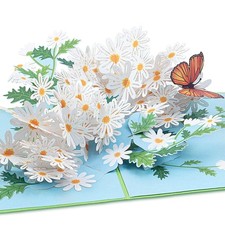 Carte pop pâquerettes et - carte,