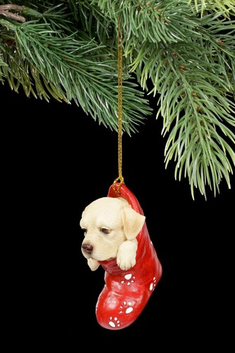 Noël chien labrador dans - -,