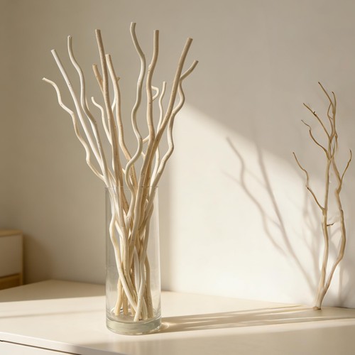 Curly willow branches - willow,