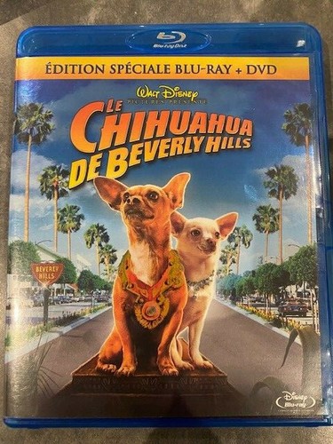Chihuahua beverley hills - de,