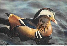 Animals - Birds - Mandarin Drake - Duck - Kenya Stamp - CPM - See Scans