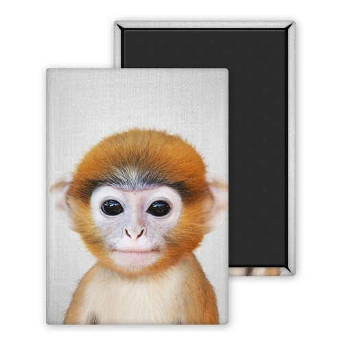 Singe bébé magnet - singe, bébé-magnet