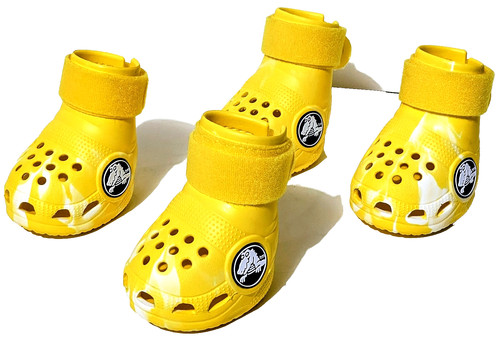 Bark dog crocs limited - dog,