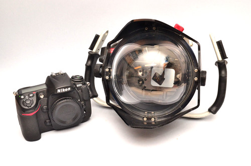 Photographie sous marine - photographie, sous-marine