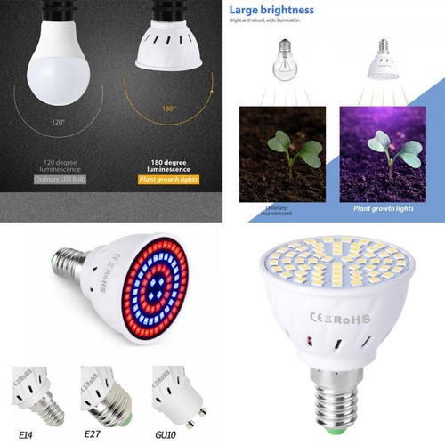 Led plante poussent des
