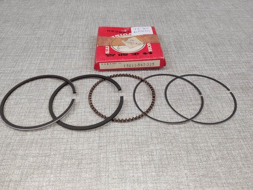 Segments cote standard pour
