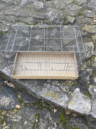 Cage oiseau animal - ou, animal;