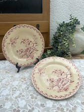 2 Antique Porcelain Opaque Plates by Gien Model Thistles Late 19th Deb 20th Century
