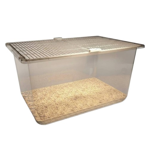 Grande enclosure pour hamster - grande,