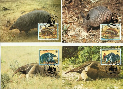 Wwf tatou fourmilier 47 - wwf, cm