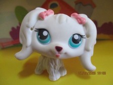 Petshop Maltese Bichon Dog #65 / With Pink Magnet