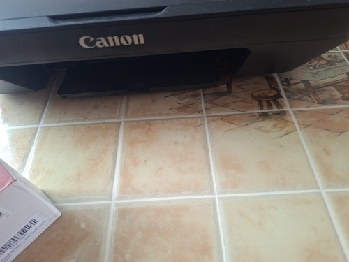 Canon pixma mg2550s - canon,