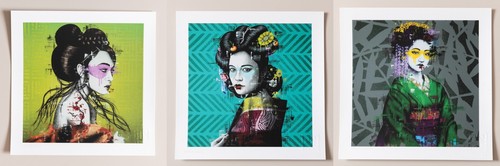 Findac changsegi ryosii - findac,