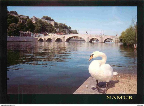 Carte postale animaux - carte,