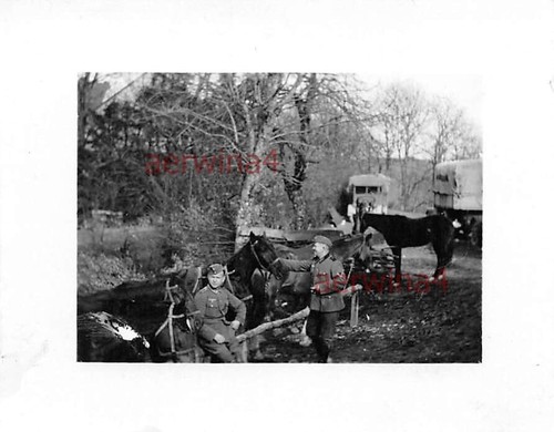 Camion repos chevaux - camion,